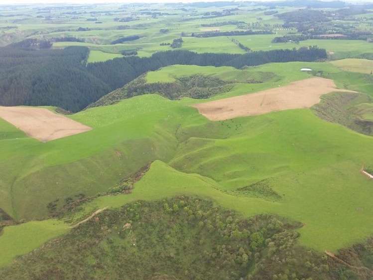 1584a Brunswick Road Kai Iwi_20