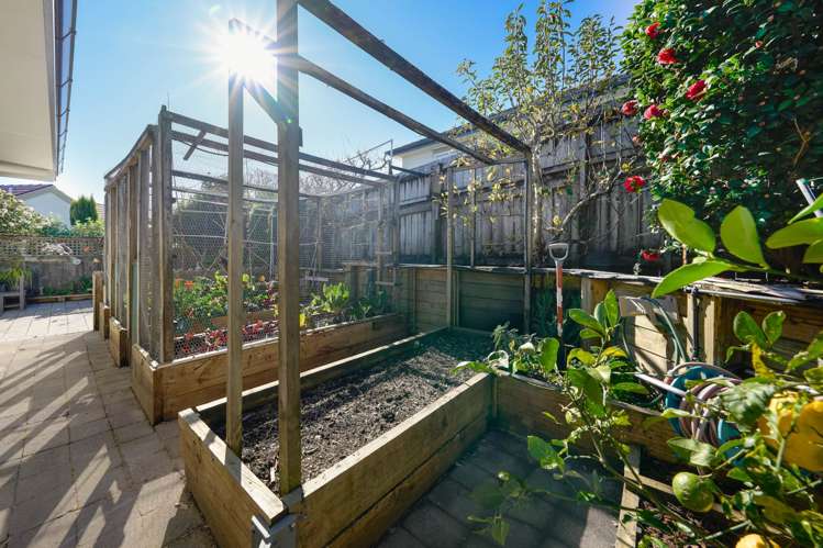 11 Manu Place Pinehill_26