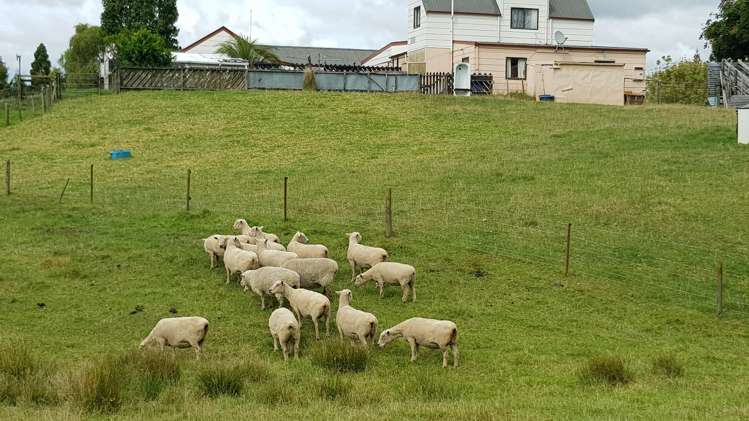 8 Boundary Road Waihi_9