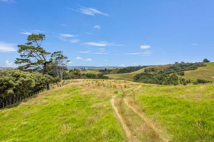 511 Fordyce Road Helensville_9