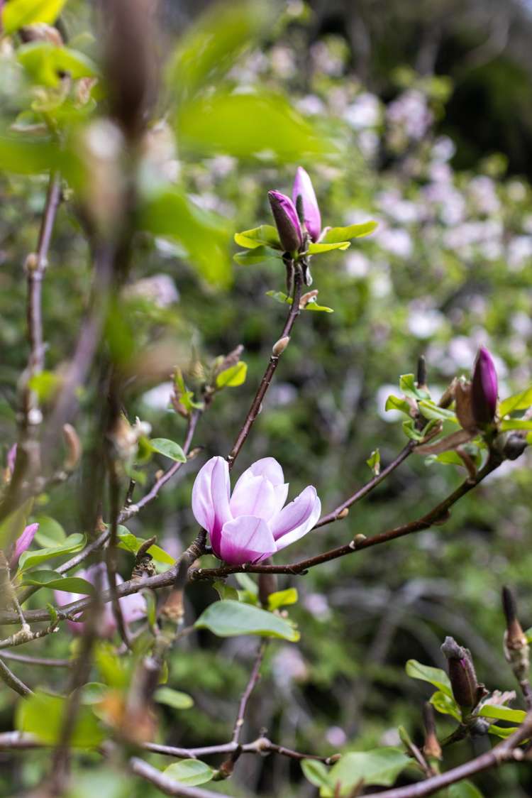 60 Robinson Road Coatesville_13