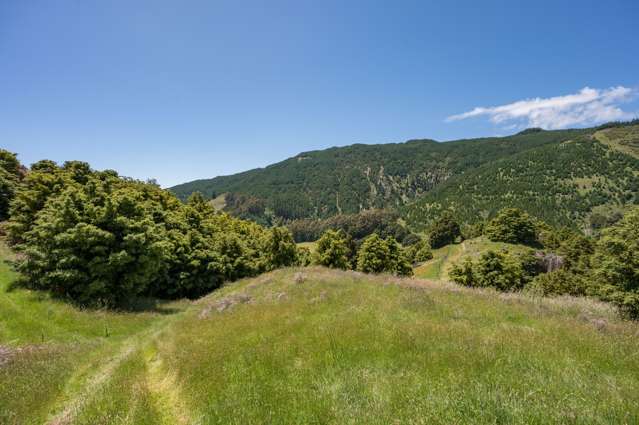 1809 Motueka Valley Highway Ngatimoti_1