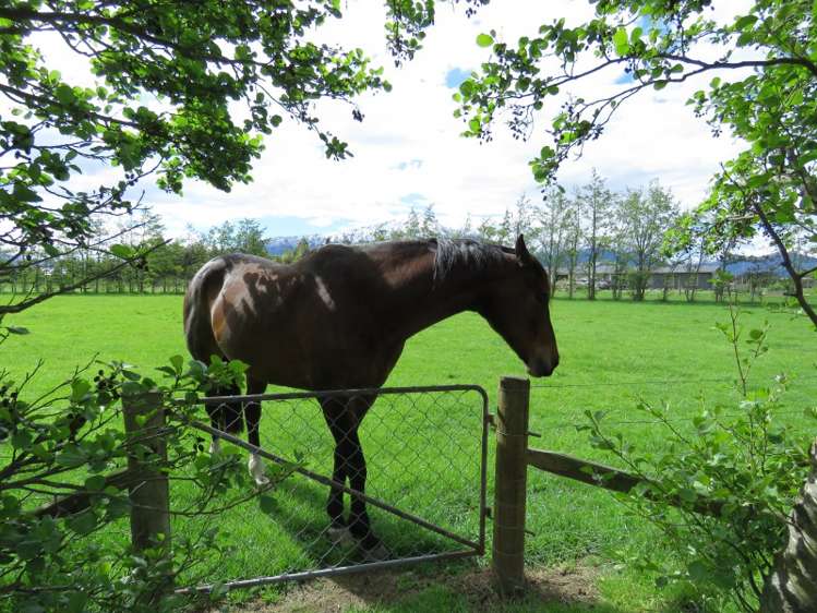 3421 Arundel Rakaia Gorge Road Mount Somers_18