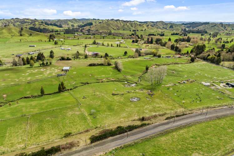 Kawautahi Road Owhango_8