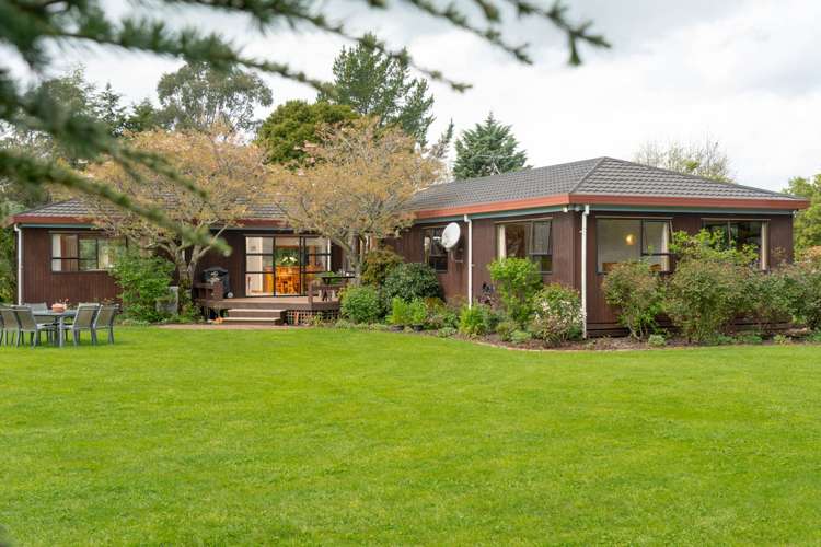 54 Tararua Drive Upper Plain_2