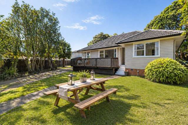 Kiwi Classic - Nest or Invest!