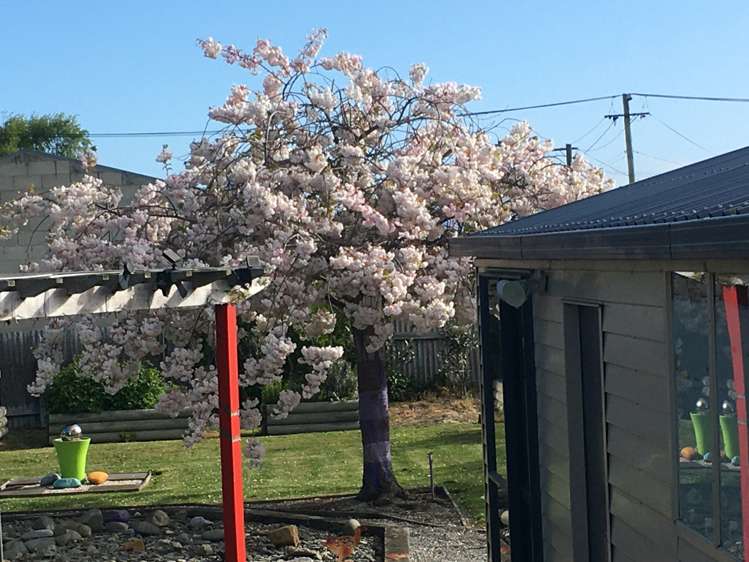 23 Witham Street Oamaru_25