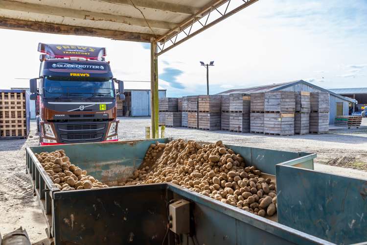 3716 Old West Coast Road Sheffield_22