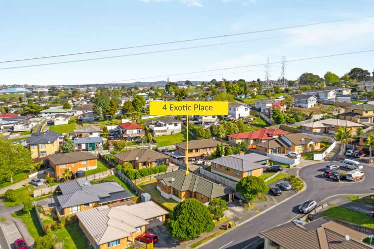 4 Exotic Place Massey_24