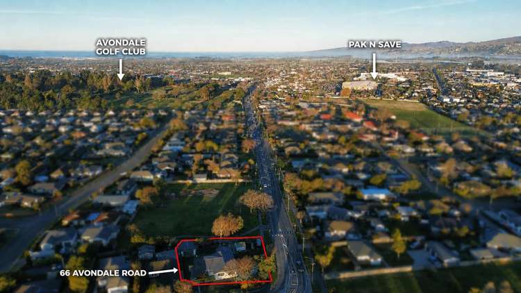 66 Avondale Road Avondale_24