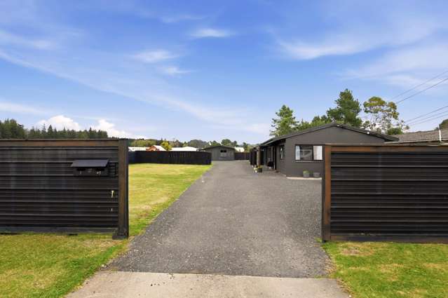 Great for Extended Families or Investment