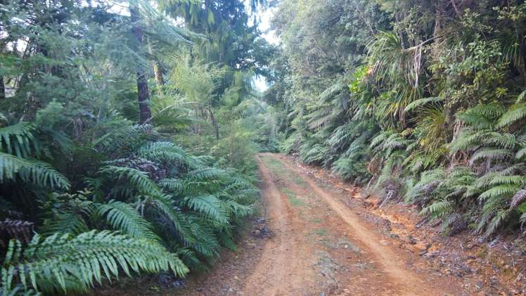 22 Mahakirau Road Manaia_10