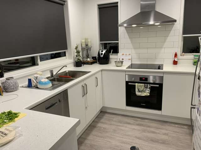 3 Taiaho Place Mount Maunganui_1