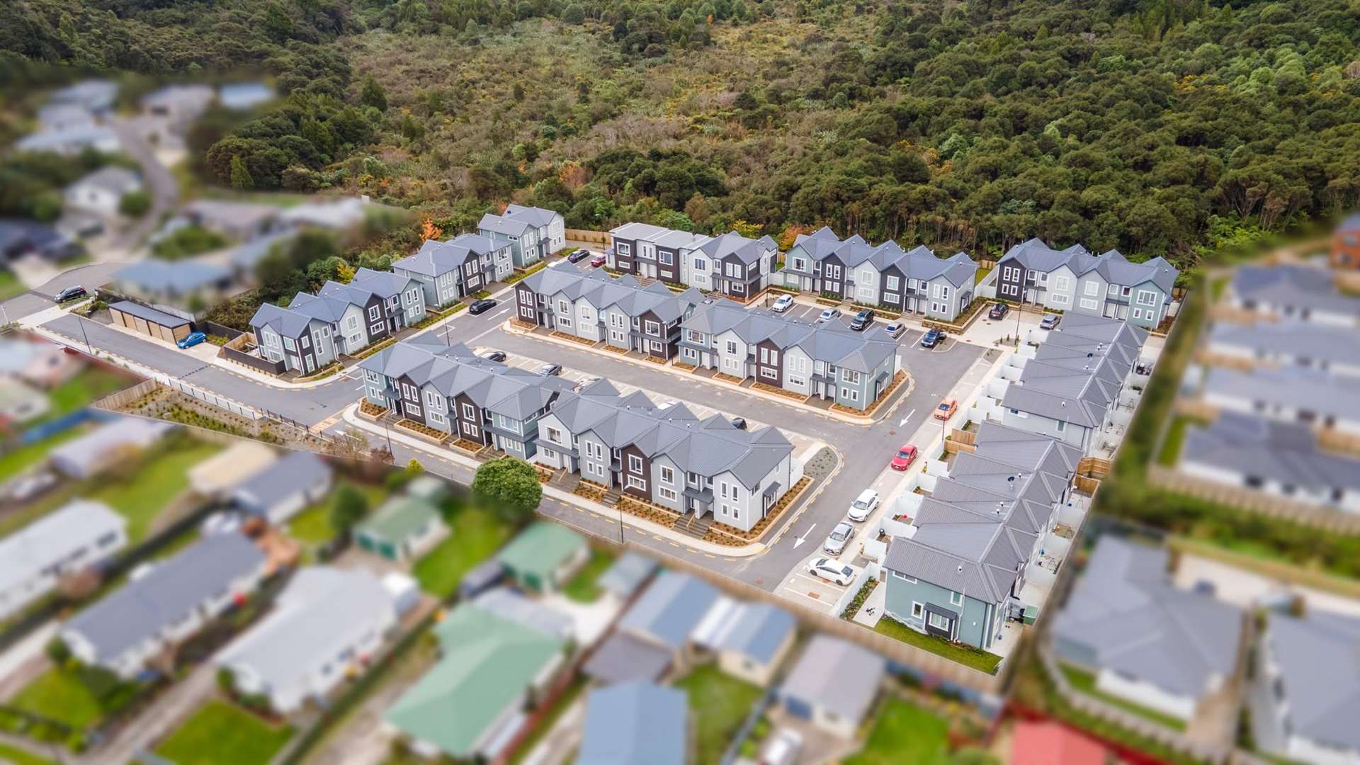 1 Te Ara O Pikiarero Wainuiomata_0