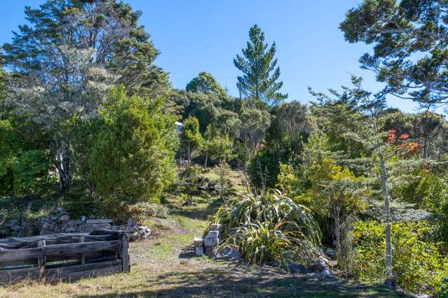 1693b Takaka Hill Highway Kahurangi National Park_4