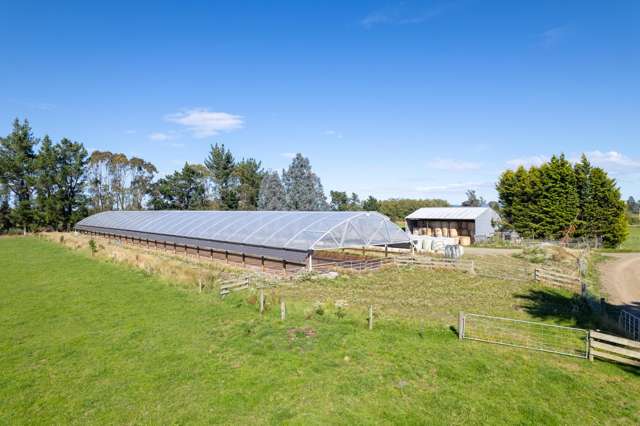 902 Avondale Road Taringatura_1