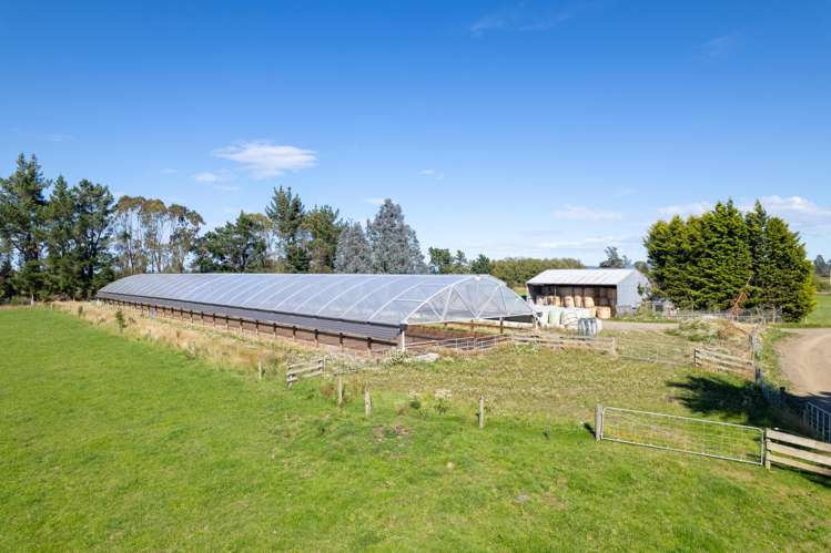 902 Avondale Road Taringatura_1