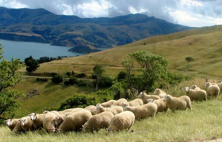194 Okains Bay Road Akaroa_42