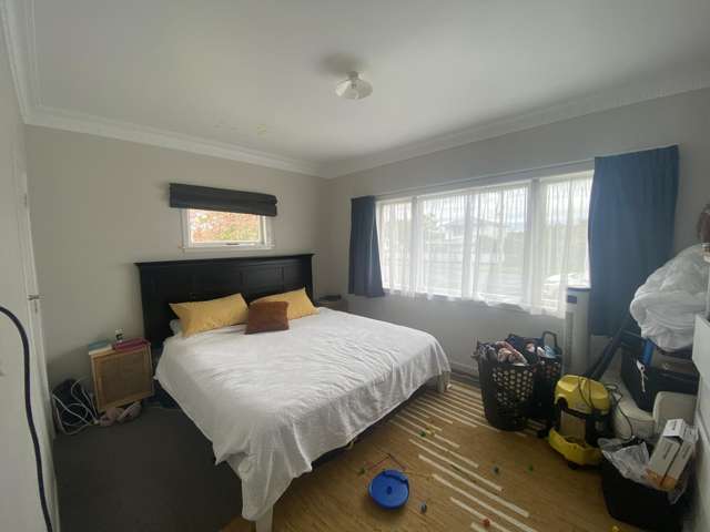 24 David Street Morrinsville_4