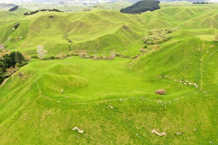 166 Airstrip Road Pikowai_18