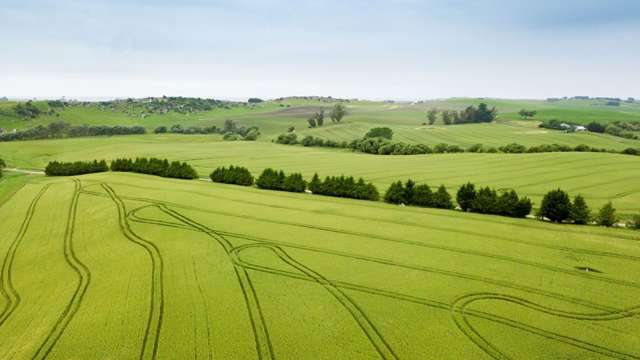 North Otago farm near Oamaru