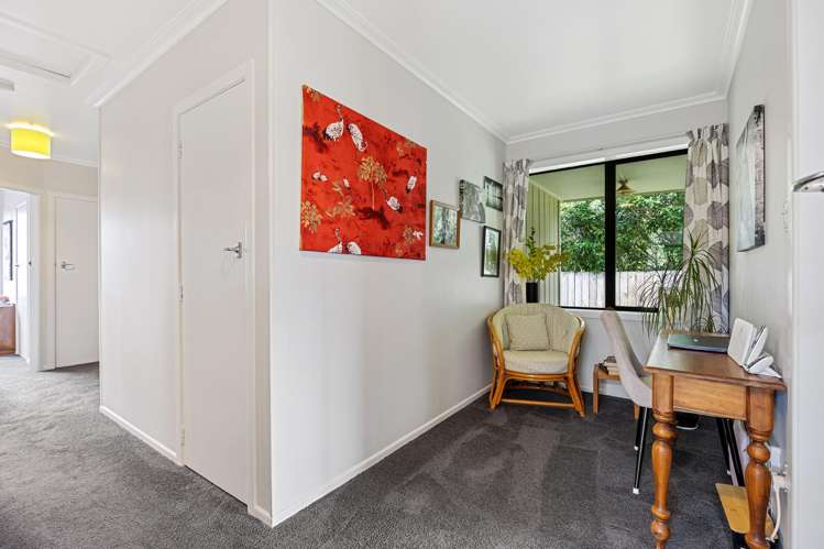 446B Thames Street Morrinsville_10