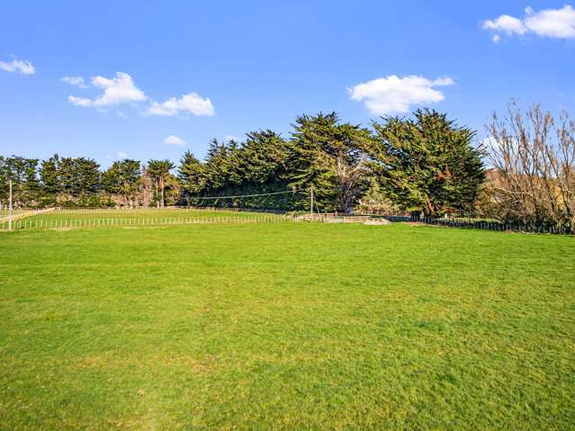11 Grove Road Ashhurst_2