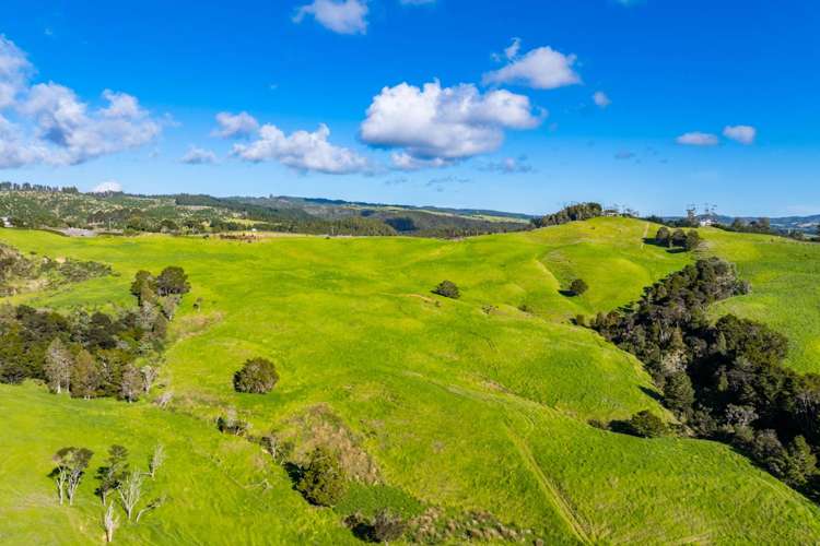 Glenmohr Road Waipu_5