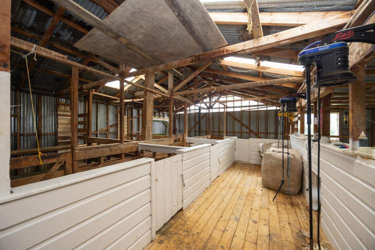 1397 Makino Road Halcombe_5