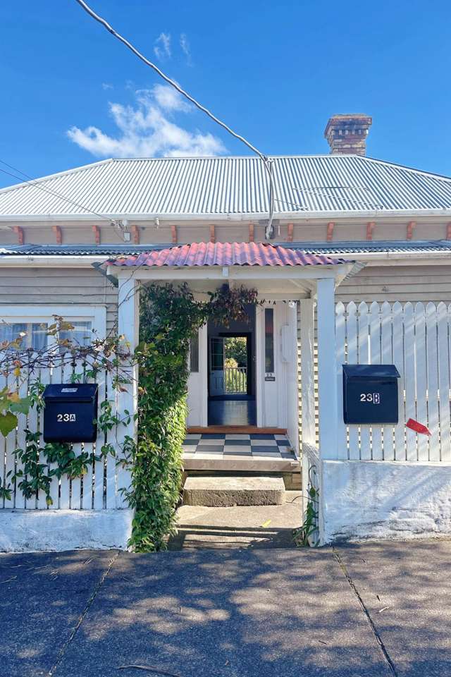 23 Commercial Road Grey Lynn_2