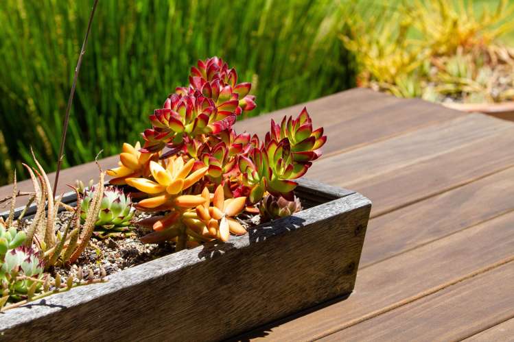 53A Hillview Road Waihi Beach_17