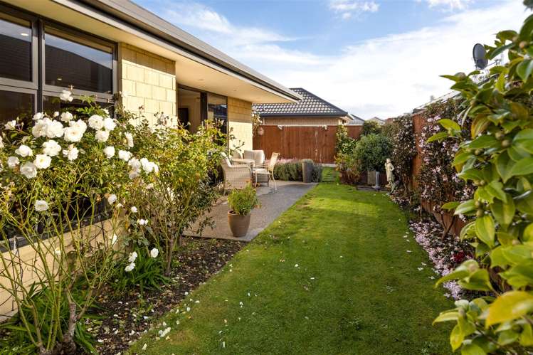 2 Korari Grove Redwoodtown_20