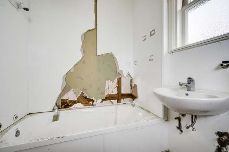 1007 Pukatea Street Saint Leonards_8