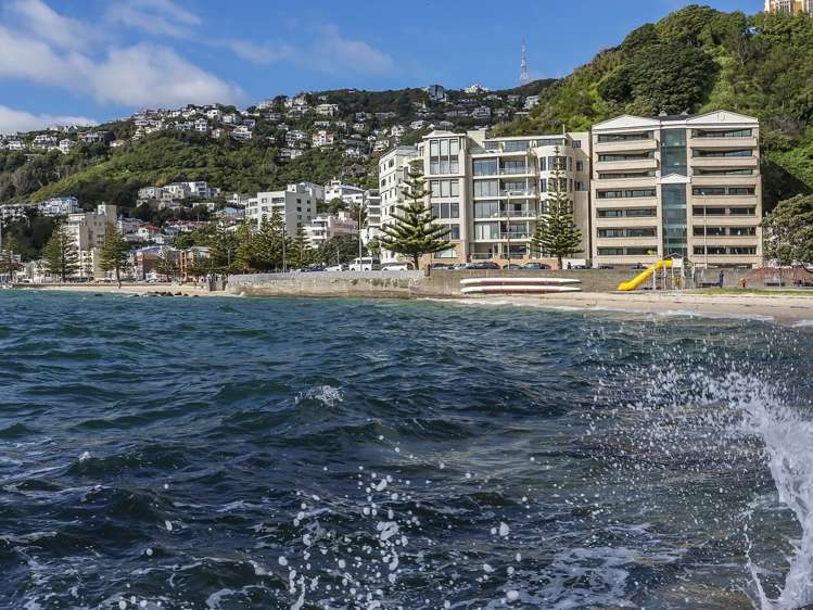 3b/172 Oriental Parade Oriental Bay_33