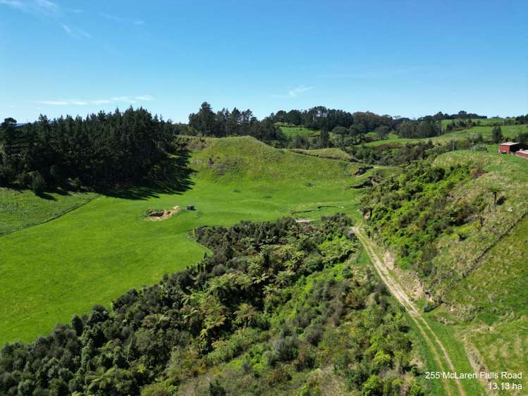 McLaren Falls Road Omanawa_13