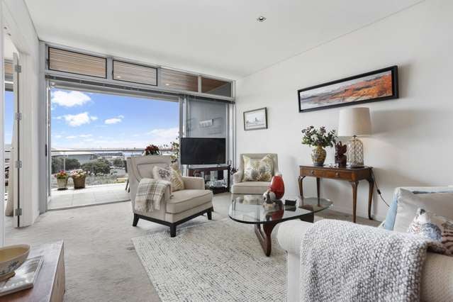 2a/11 Augustus Terrace Parnell_1