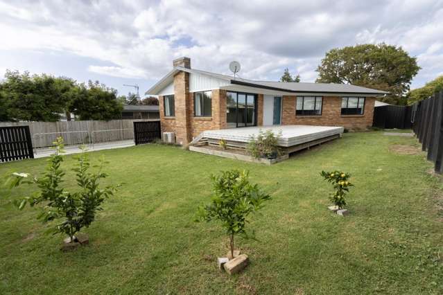 62 Thompson Street 11373_1