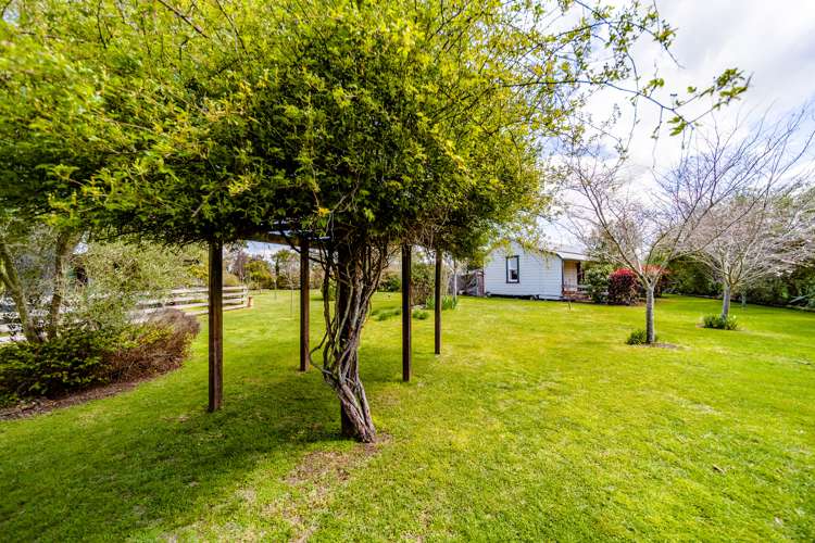 31 Lyall Street Tikokino_21