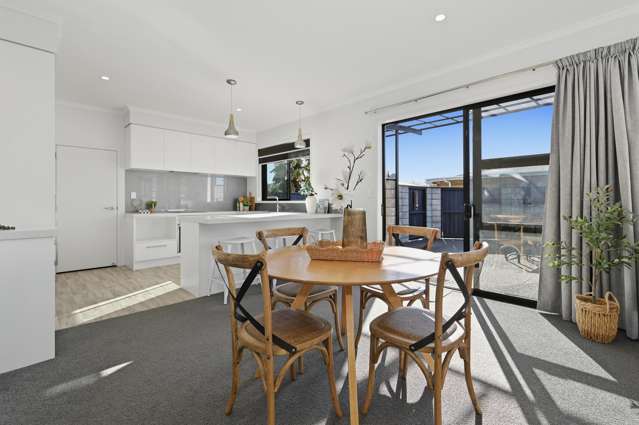 14A Vine Avenue Maungatapu_4