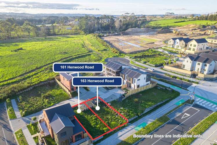 161 & 163 Henwood Road_0