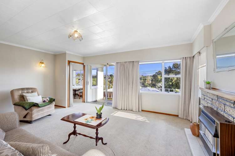 44 Essex Street Vogeltown_7