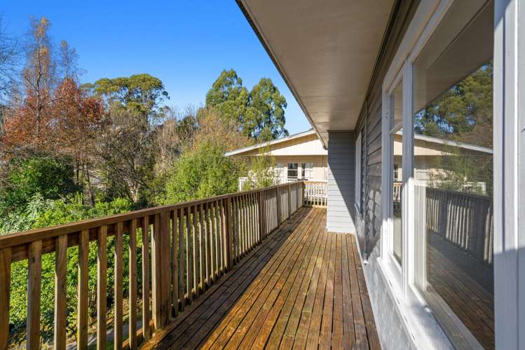 39 Thompson Terrace Toi Toi_15