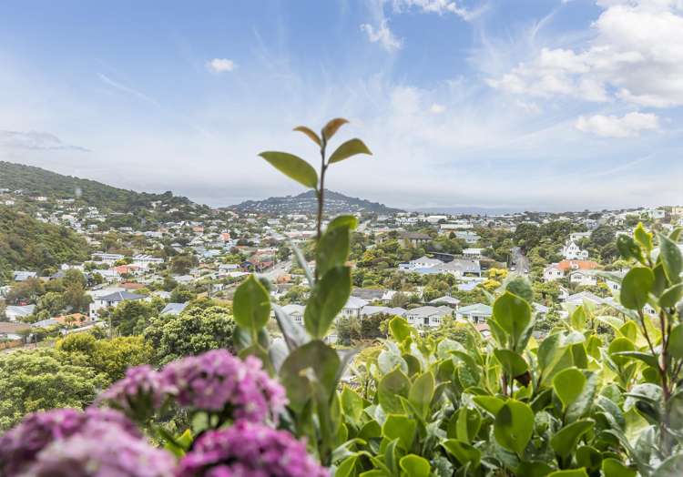 25 Collier Avenue Karori_20