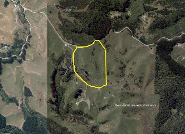 Finnis Road Pohangina_1