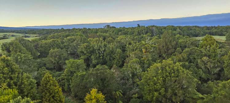 3095 Carrington Road Okato_10