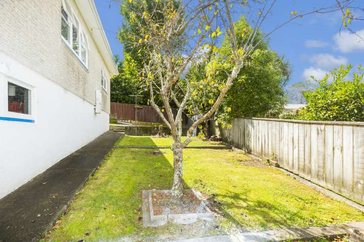 4 Dawn Grove Brown Owl_13