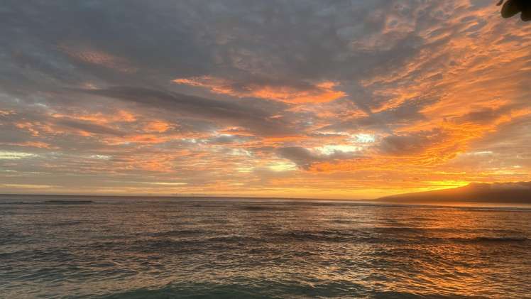 Maqai Beach Eco Surf Resort Qamea Island_35