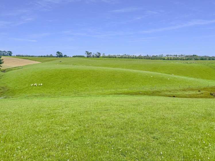 20 Carruthers Road Ashley Downs_16