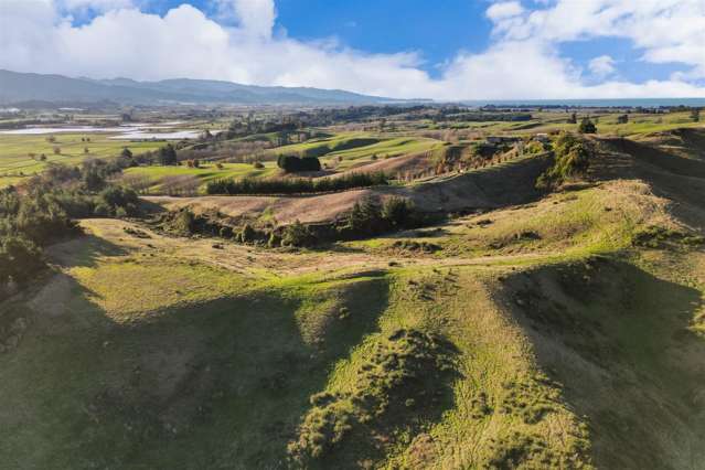 2384 Moutere Highway Upper Moutere_4