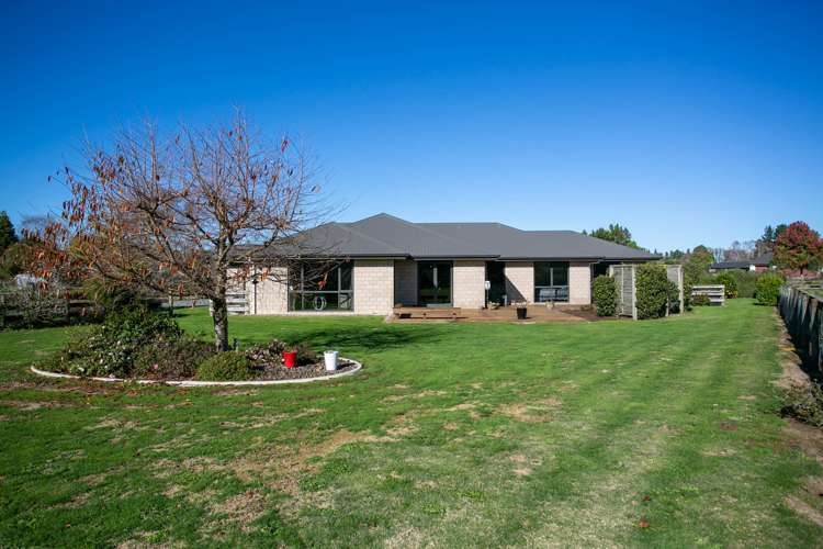 620 Bellot Street Pirongia_14